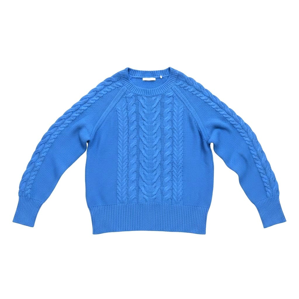 CHANDAIL MANCHES LONGUES BLEU LARGE